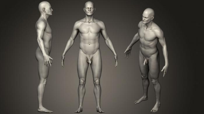 نموذج ثلاثي الأبعاد لآلة CNC تشريح الهياكل العظمية والجماجم جسم الرجل البشري